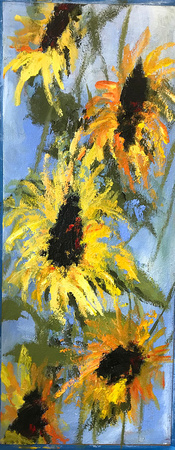 Sunflower Garden #4